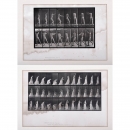 2 Edward Muybridge Pictures, 1887