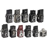 Interesting Lot of 11 TLR Cameras
