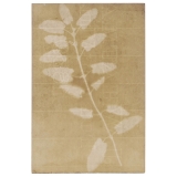 Photogenic Drawing by William Henry Fox Talbot, 1839