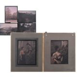 Large-Format Autochromes